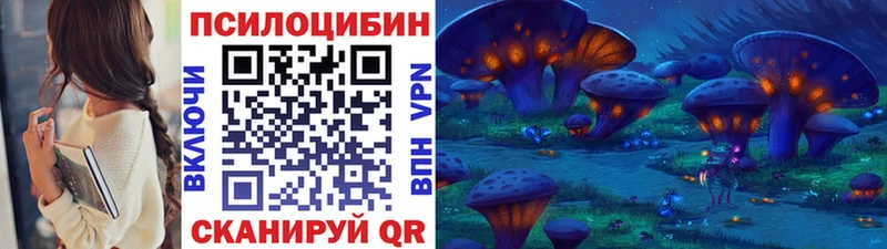 Галлюциногенные грибы Magic Shrooms купить закладку Волгоград