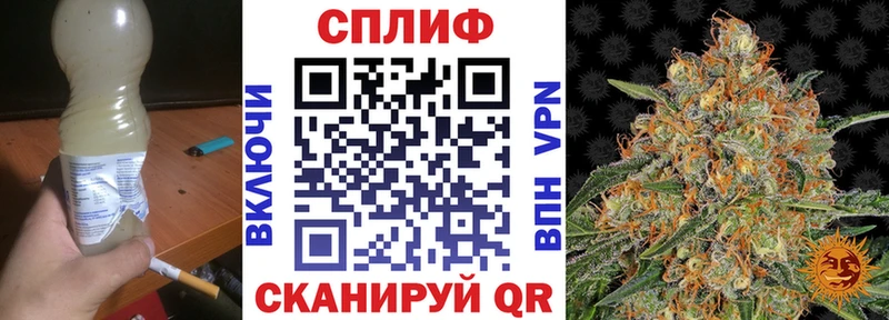 Канабис OG Kush  Волгоград 